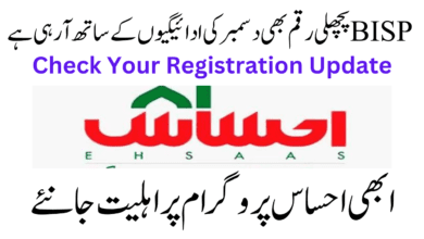 Check Your EHSAAS Registration Update {8171}: Previous Amount Coming With December Payments!