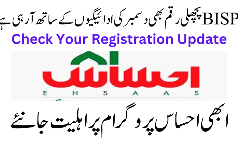 Check Your EHSAAS Registration Update {8171}: Previous Amount Coming With December Payments!